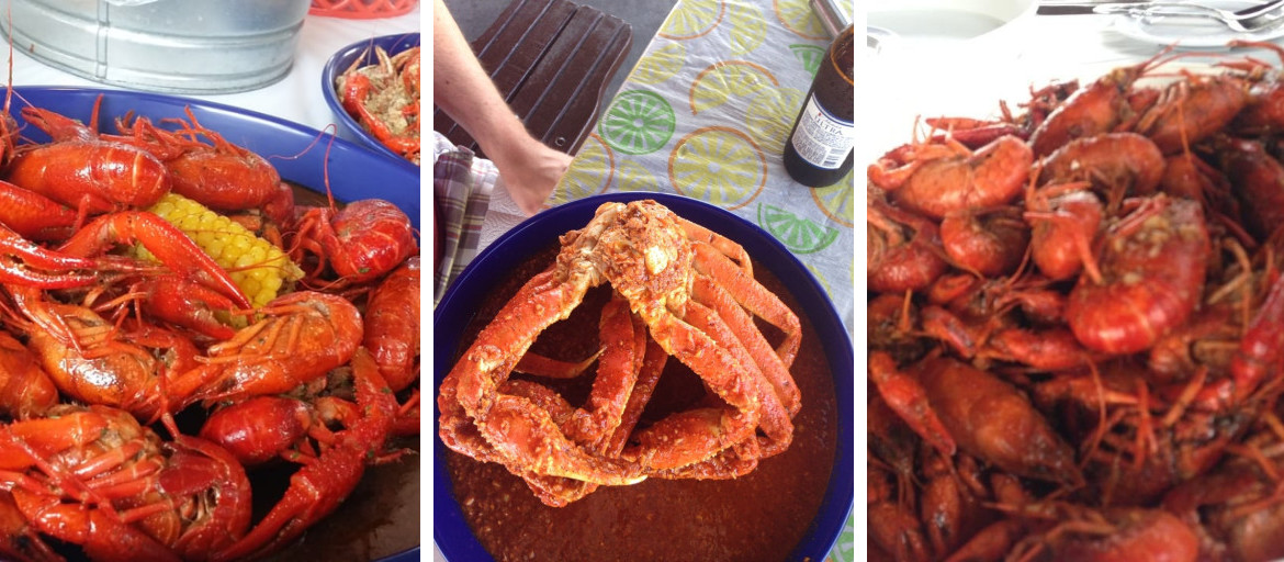 Banner 1