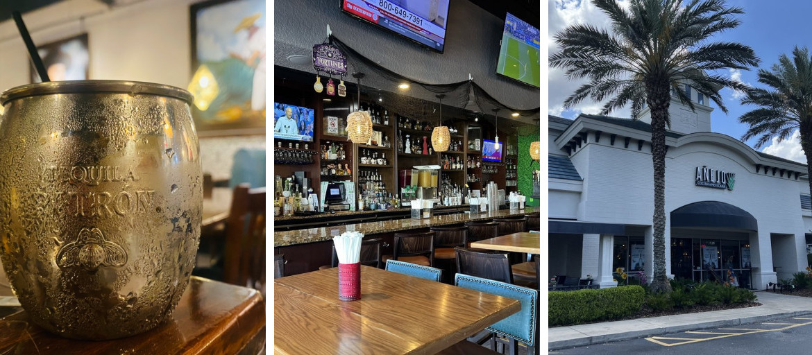 Banner 1