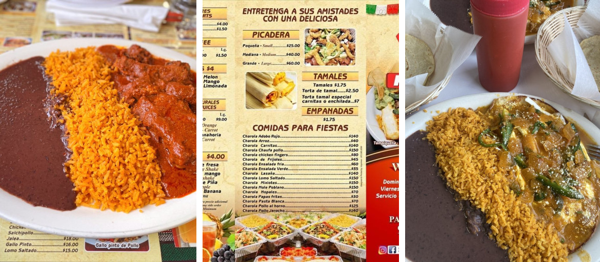 Banner 1