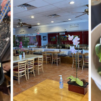 Asian Noodles House