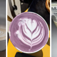 Bad Owl Coffee Roasters