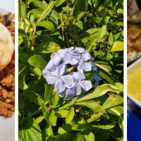 Baramee Thai Bistro
