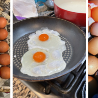 Billy's Egg Farm