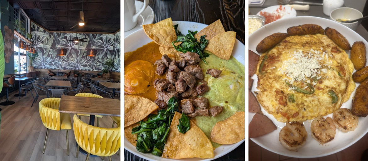 Banner 3