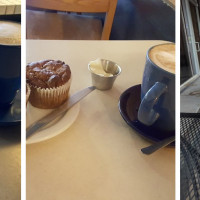 Blue Line Coffee