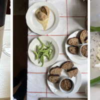 Bovina Farm & Fermentory