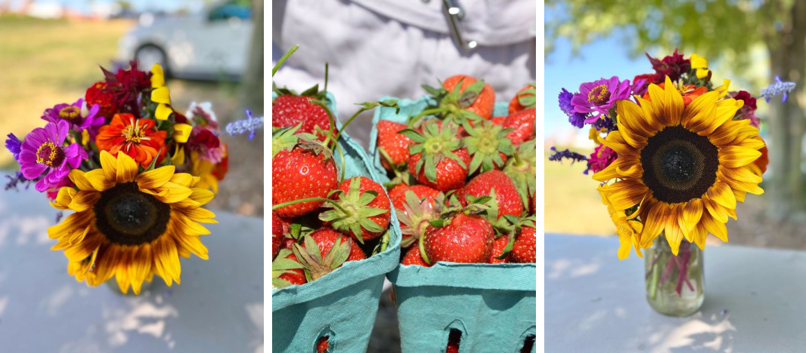 Banner 1