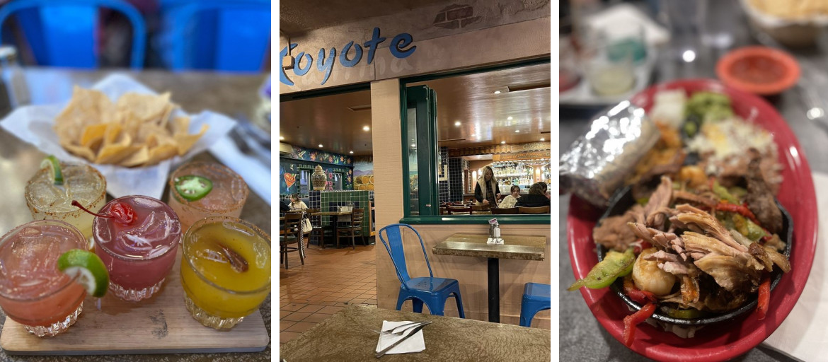 Banner 1