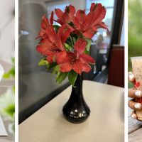 Chick-fil-A - 5260 Stockdale Hwy