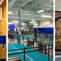 Chipshot Bar & Restaurant