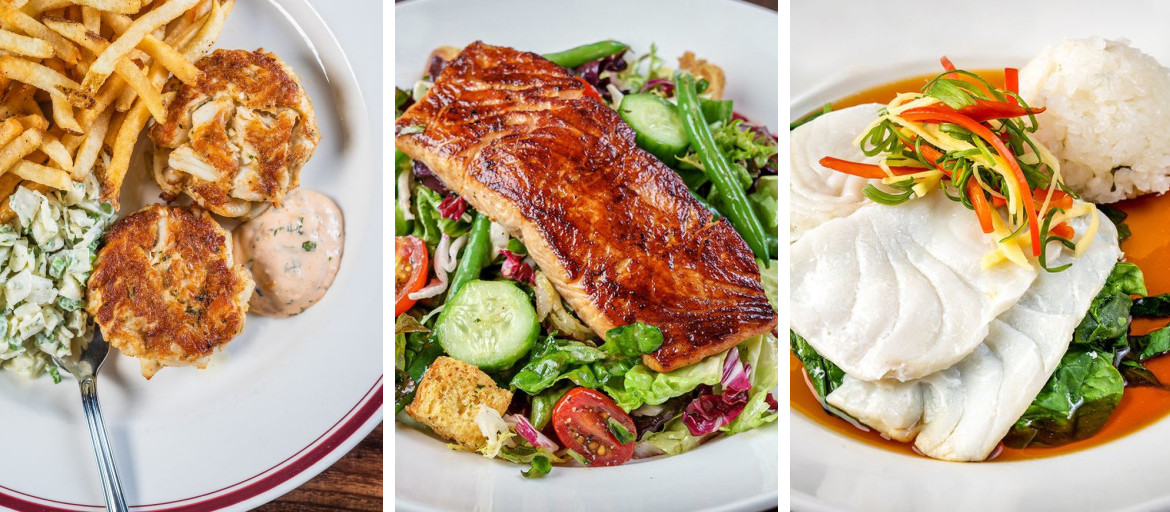 Banner 1