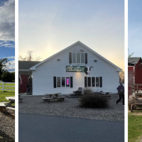 Collins Creamery