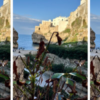 Cove Cliff Restaurant & Bar