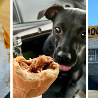 Dog House Drive In