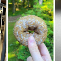 Donut Daily