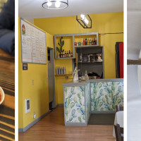 Fidelina's Taqueria