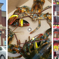 Gandy Seafood Cajun Market Murfreesboro