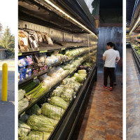 Golden Harvest Foods