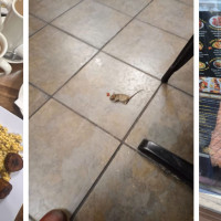 Guanachapi's Restaurant Mexican and Latin Food