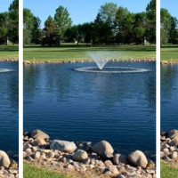 Hole in One Bar and Grill Forman Golf Course