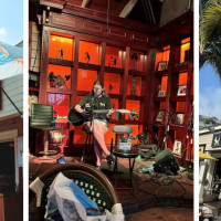 Island Dogs Bar