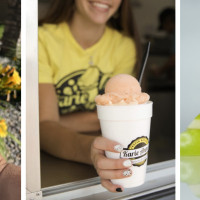 Karie Anne's Frozen Desserts Idaho Falls
