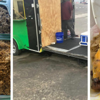 Kingston Jamaica Foods