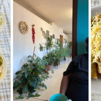 La Pasadita Cafe