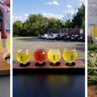 Lost Boy Cider