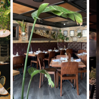 Macchialina Taverna