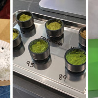 Matcha Crew BCN