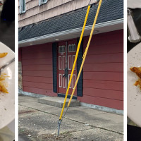 Napolis Pizzeria - Canton
