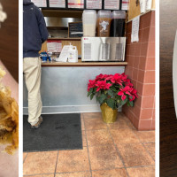 Paul's Burrito Express