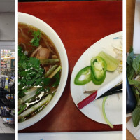 Pho 515