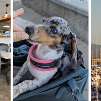 Point Loma Seafoods