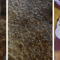Raffaeles Pizza