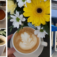 RELAY Coffee Roasters