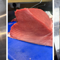 Sakura sushi house