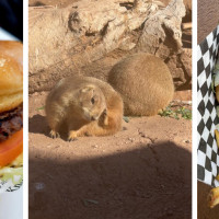 Savanna Grill at Phoenix Zoo