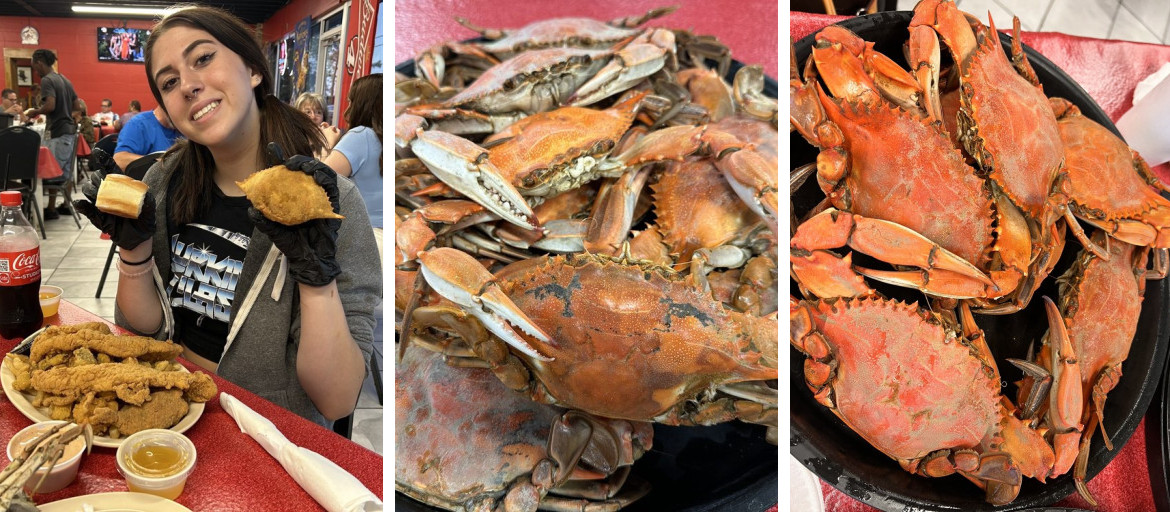 Banner 3