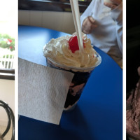 Shark's Ice Cream