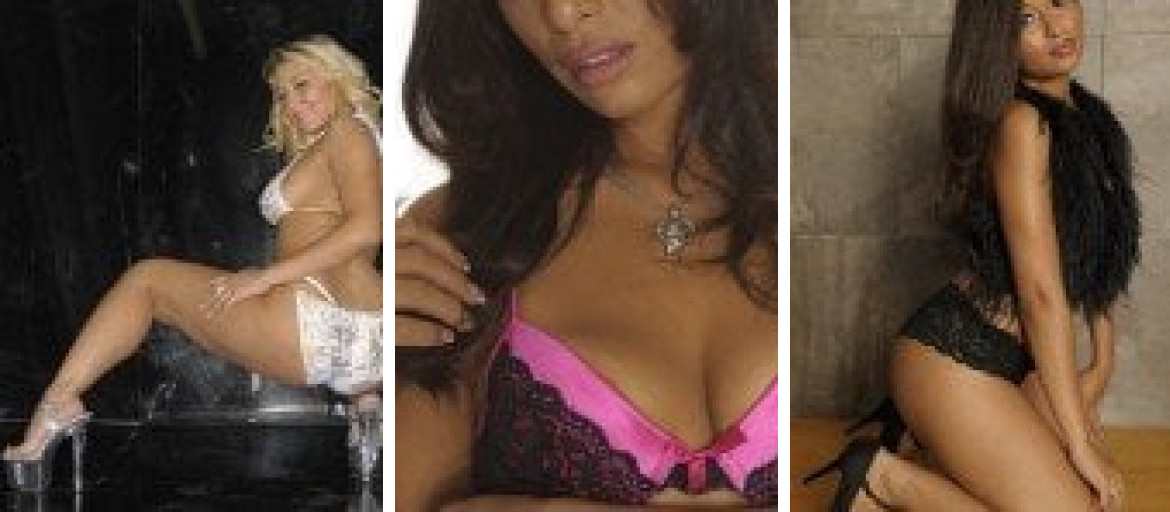 Banner 1