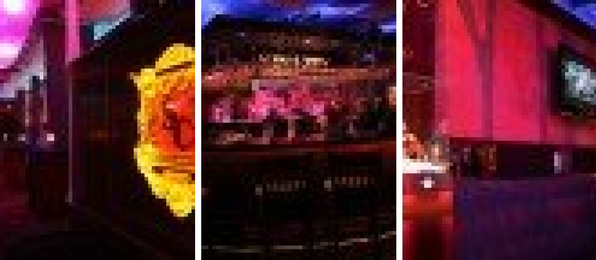 Banner 3