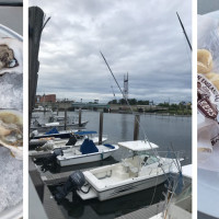Sono Seaport Seafood Inc.