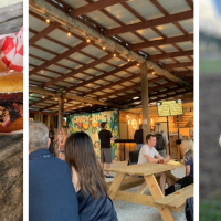 Southern Fresh Farms