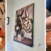 Spotted Donkey Cantina, el Pedregal