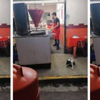 Taqueria Los 3 Gallos