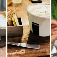 Terra at Eataly