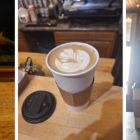 The Twisted Oak Coffee House
