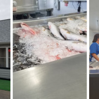 Todd Seafood Mkt